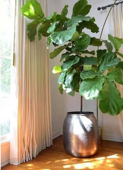 ����ֲ�����