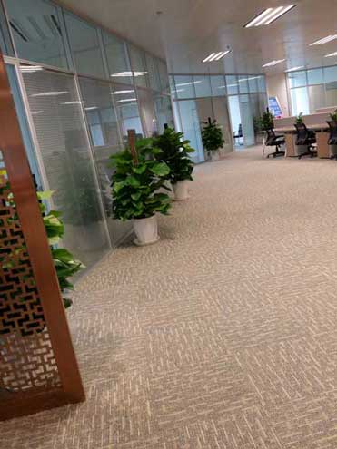 �칫��ֲ��