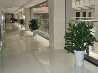 ����ֲ��ڷ�