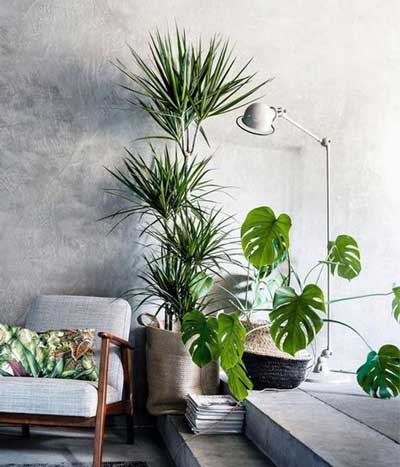 �������ֲ������