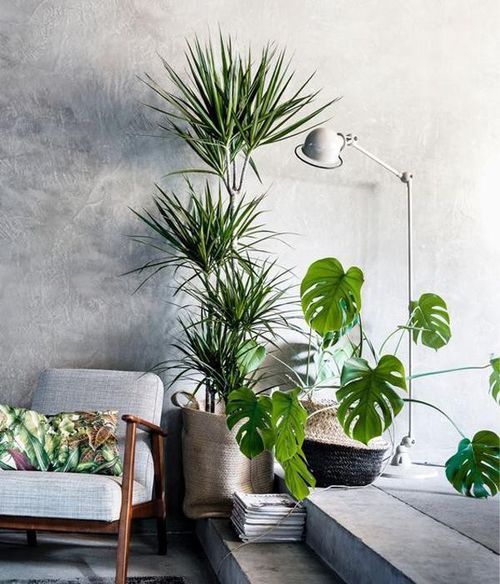 ǧ��ľֲ�����