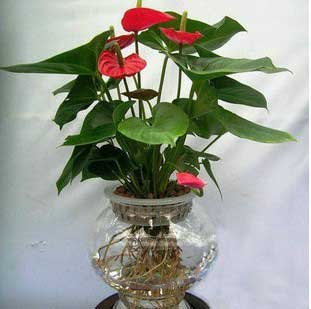 ˮ������