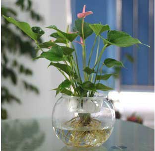 ˮ������