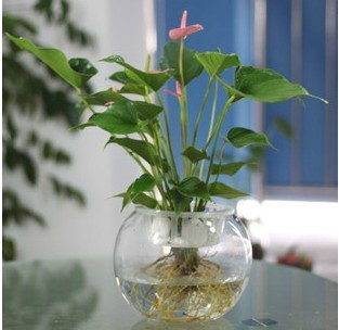 ˮ������