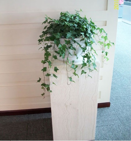 ������ֲ�����