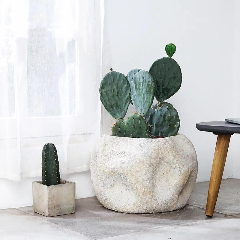 ������ֲ�����