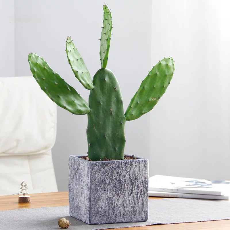 ������ֲ�����