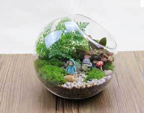 ΢������