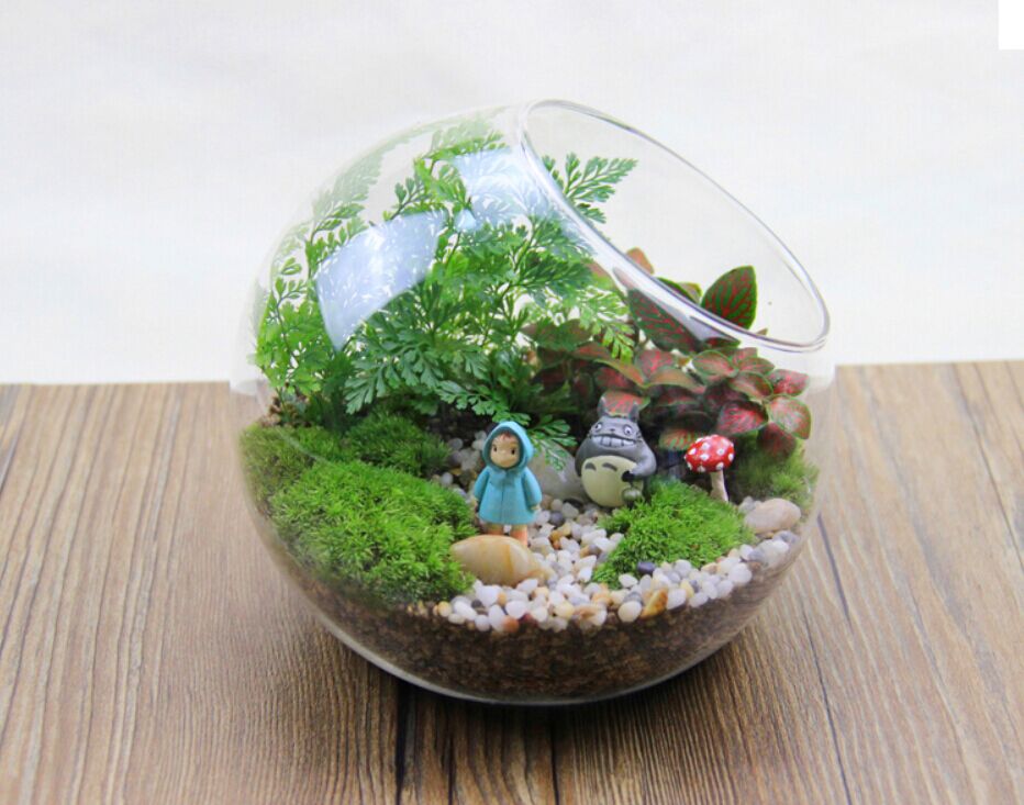 ΢������ֲ�����