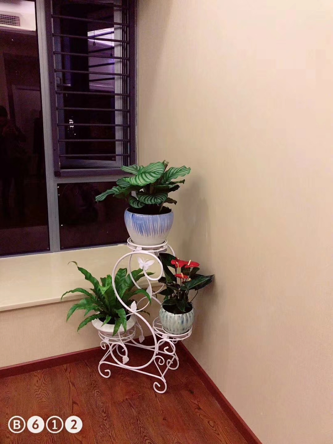 ����Сֲ�������ֲ�����