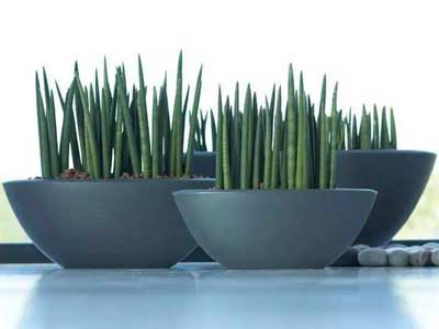 ɺ��������