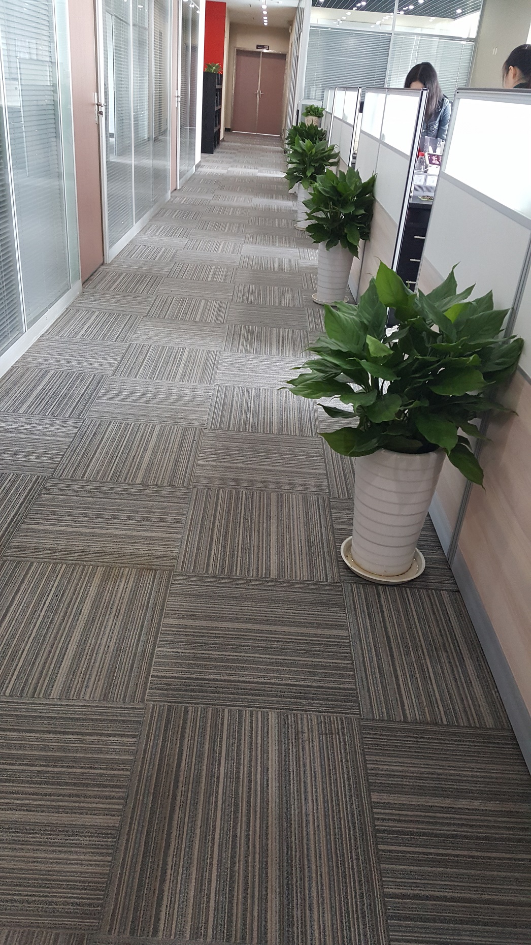 �㶫������ֲ�����