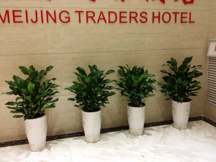 ��������ֲ�����