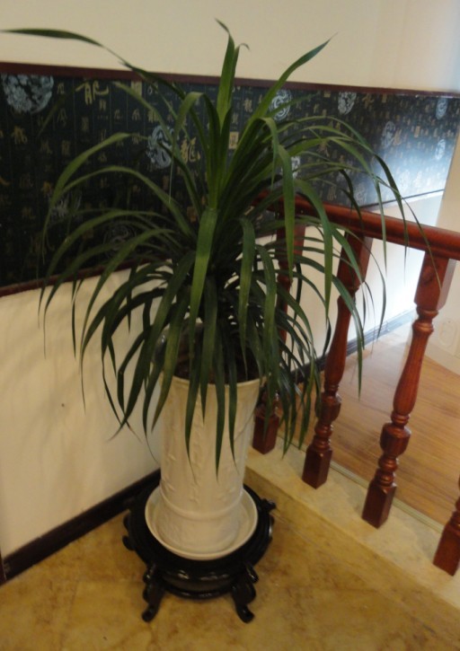 ��������ֲ�����